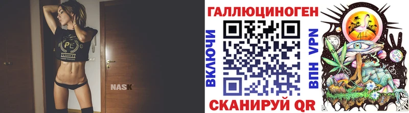 Галлюциногенные грибы мицелий  omg зеркало  Новоалександровск  закладки 