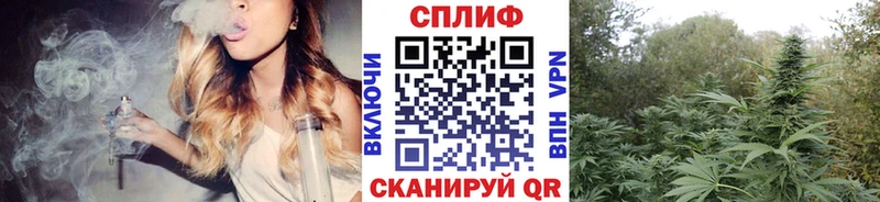 МАРИХУАНА ГИДРОПОН  Новоалександровск 