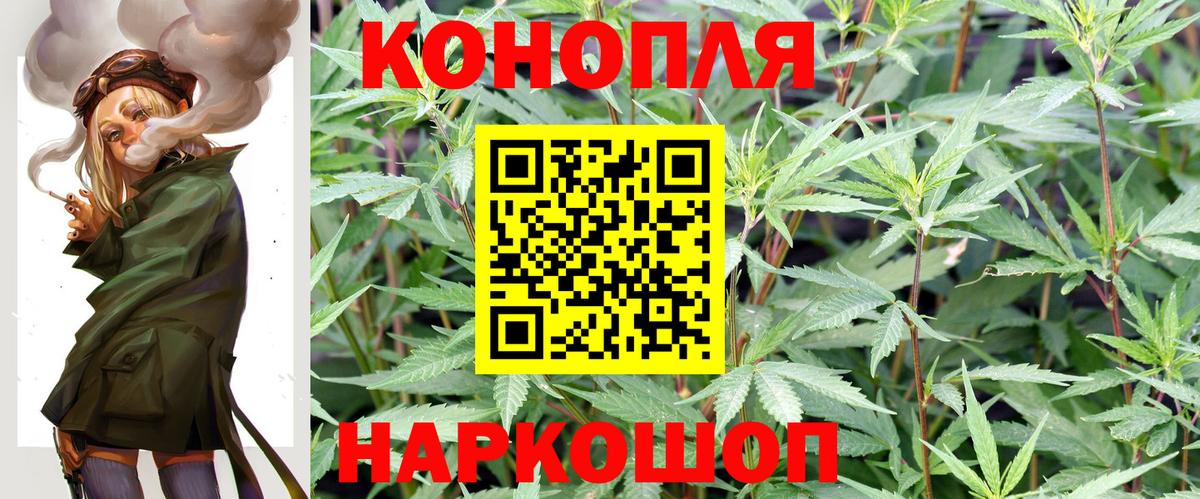 Шишки марихуана Amnesia Новоалександровск